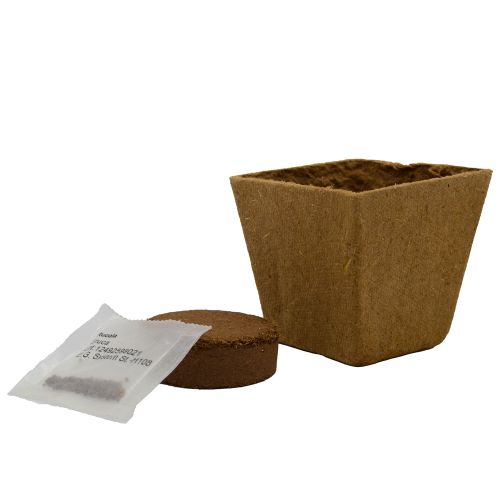 Bio-degradable plant pot - Image 3